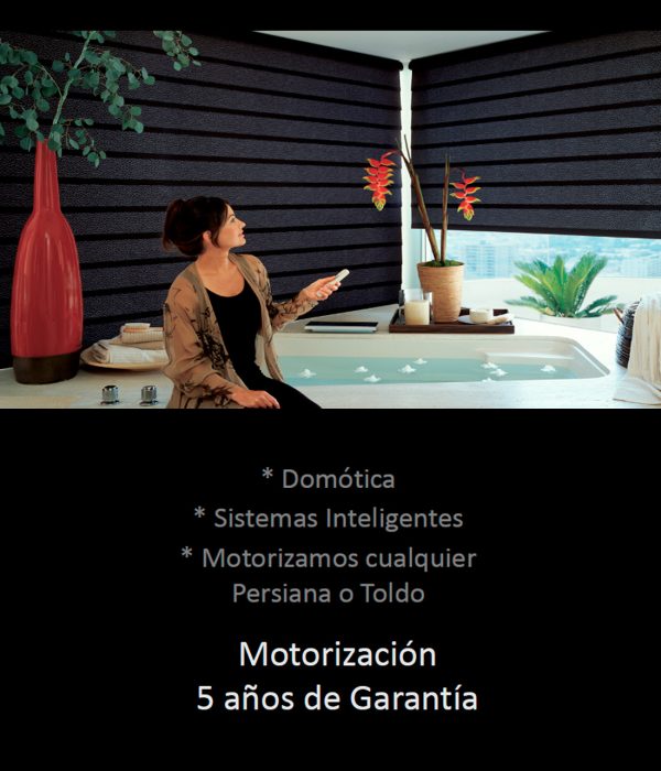 Motorización